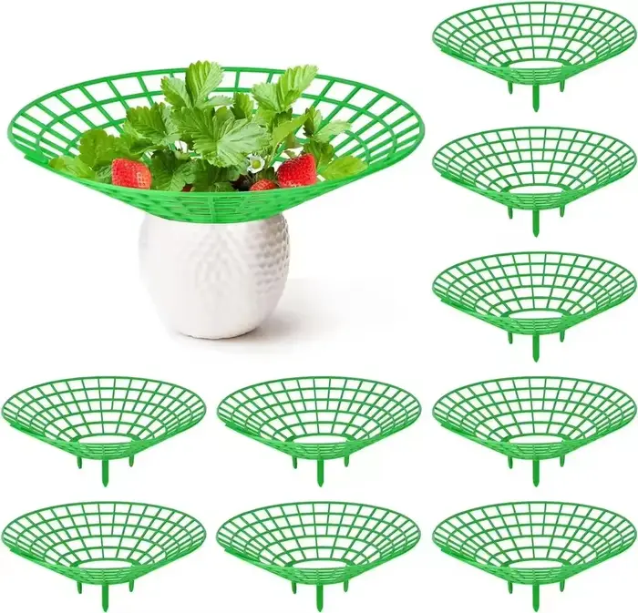 Supports pour plantes à fraises, 5 à 50 pièces, avec 3 jambes robustes, supports de culture de frais