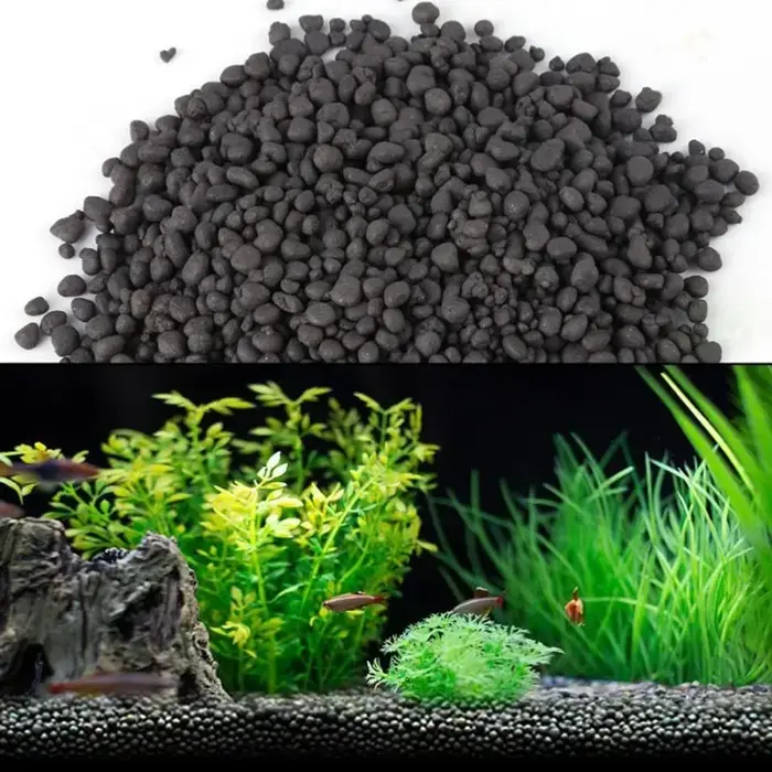 Herbe à eau pour plantes d'aquarium