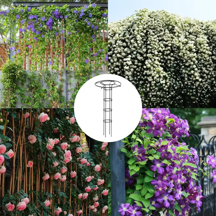 Treillis de jardin en forme de parapluie pour plantes grimpantes