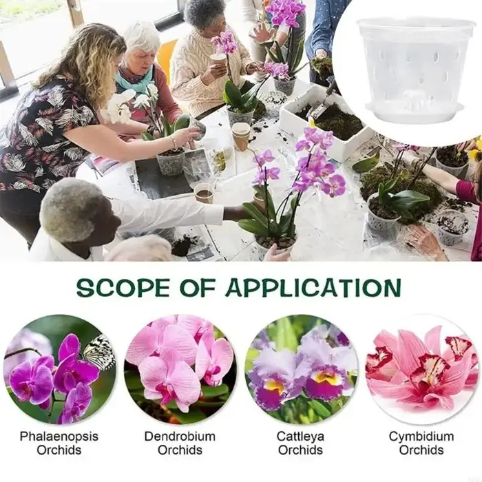 Paquet 5 porte-fleurs en plastique visibles avec trous Drainage pour une forte croissance entretien facile des 87HA