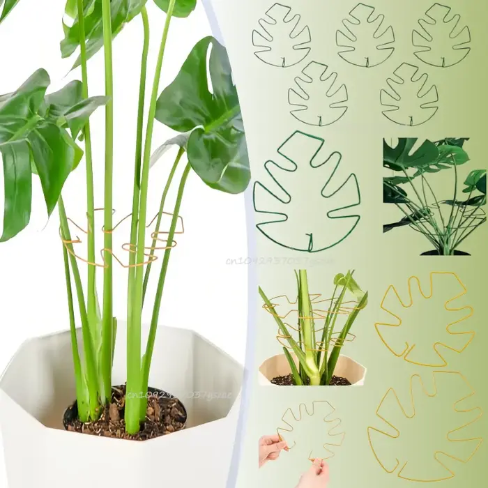 Supports de plantes réglables en métal pour tutorer les plantes