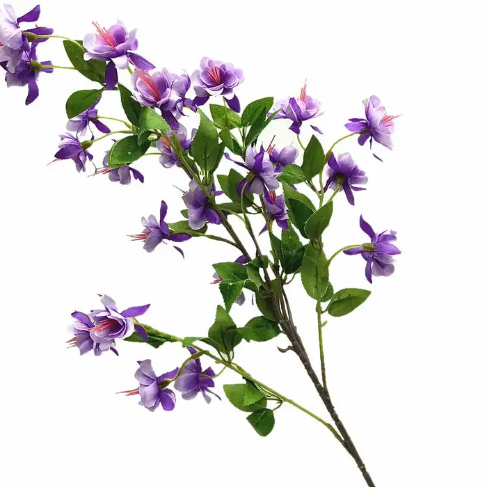 InjForsythia-Fleur de Viridissima Lindl avec Longue Tige