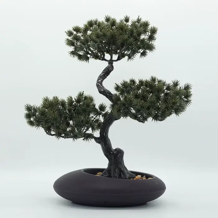 Simulation d'arbres de pin