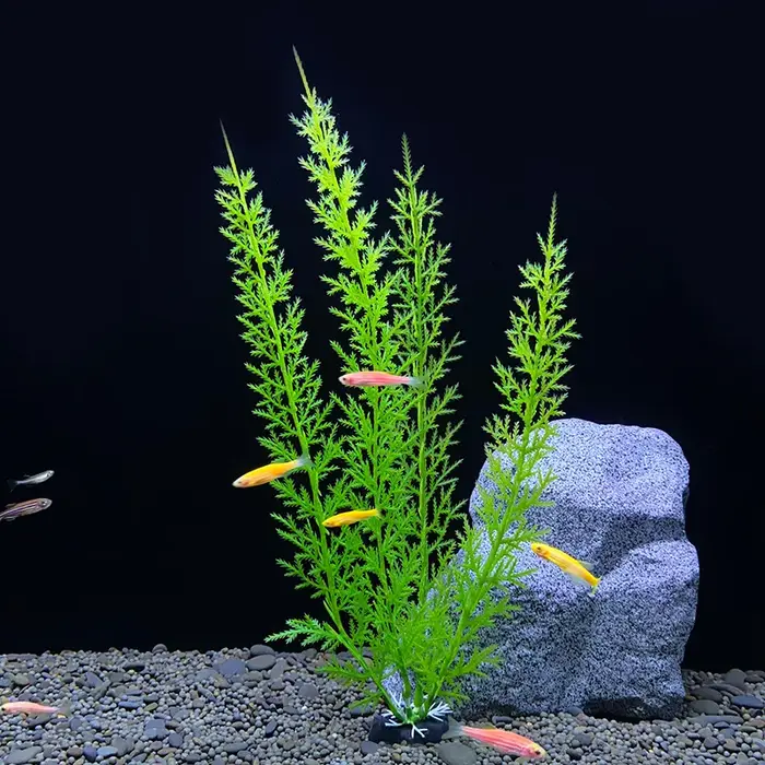 Plantes artificielles d'aquarium, décoration d'aquarium, aménagement paysager, ornements d'herbe aqu