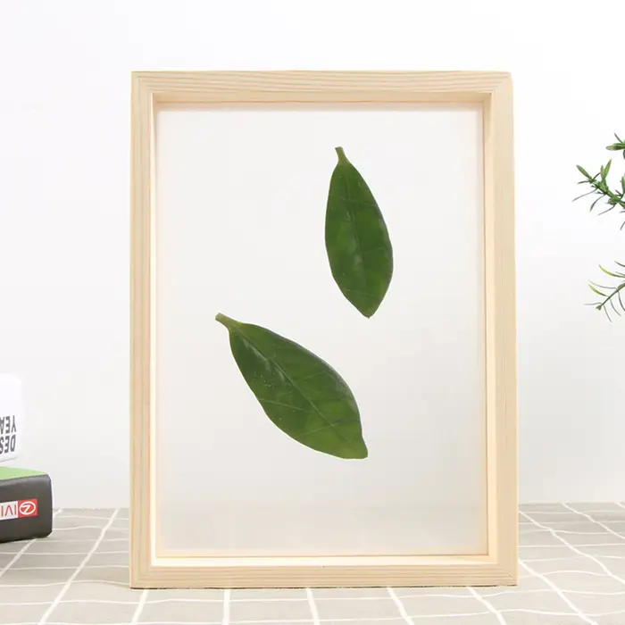 Cadre Photo Double face pour plantes