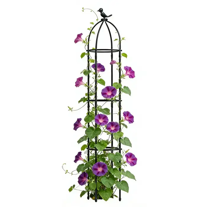 Treillis de support pour plantes grimpantes