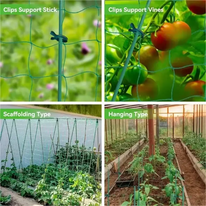 Filet d'escalade pour plantes de jardin