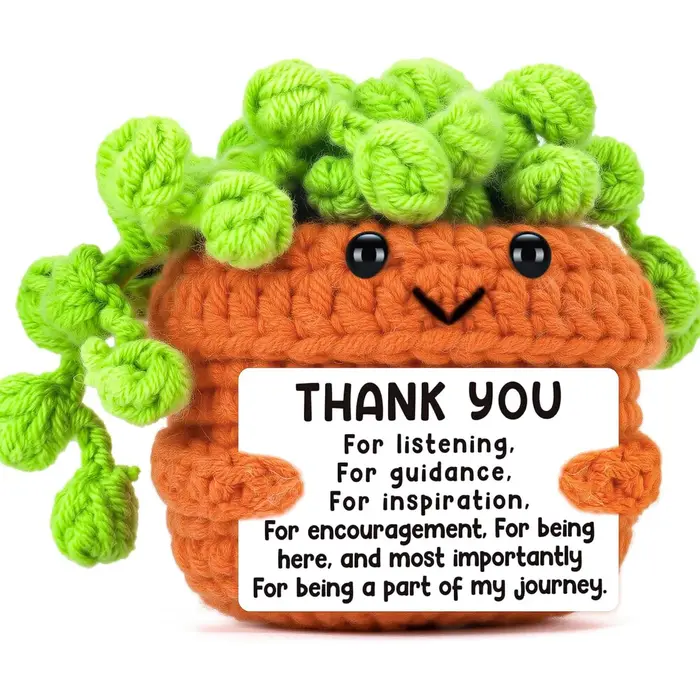 Décoration de plante positive au Crochet faite à la main, cadeaux de remerciement de noël mignons po