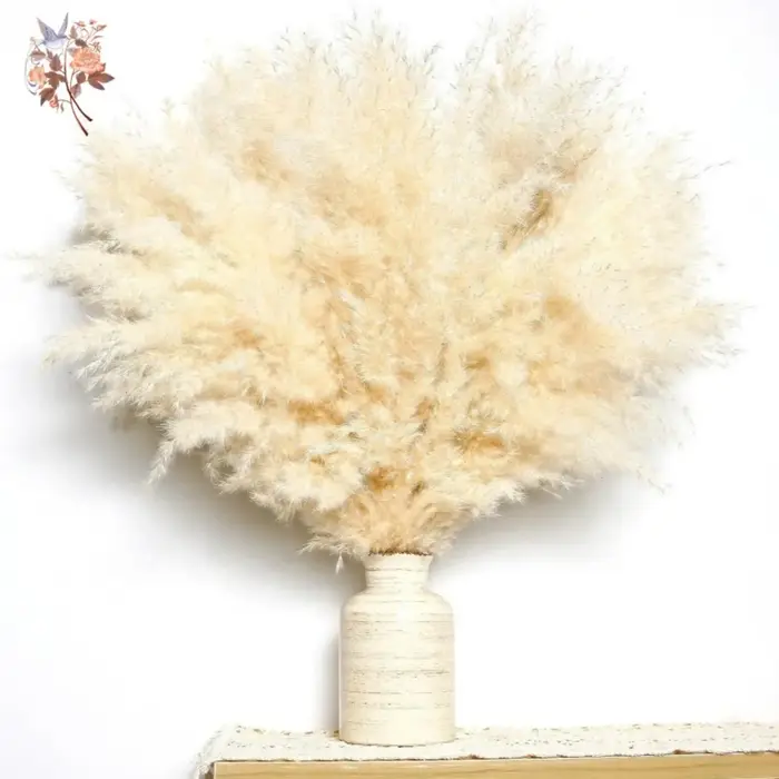 Bouquet de Fleurs de Pampas Sèches Naturelles pour Décoration de Noël