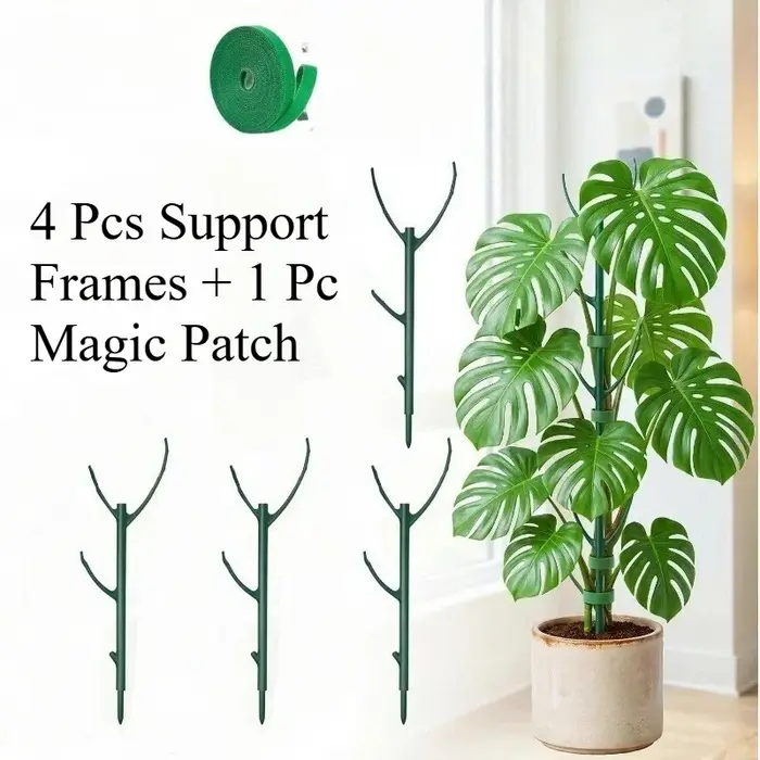 Supports pour plantes Monstera, 5 cadres de support et 1 rouleau de Velcro, piquets de jardin conçus spécifiquement pour les tiges des plantes grimpantes.