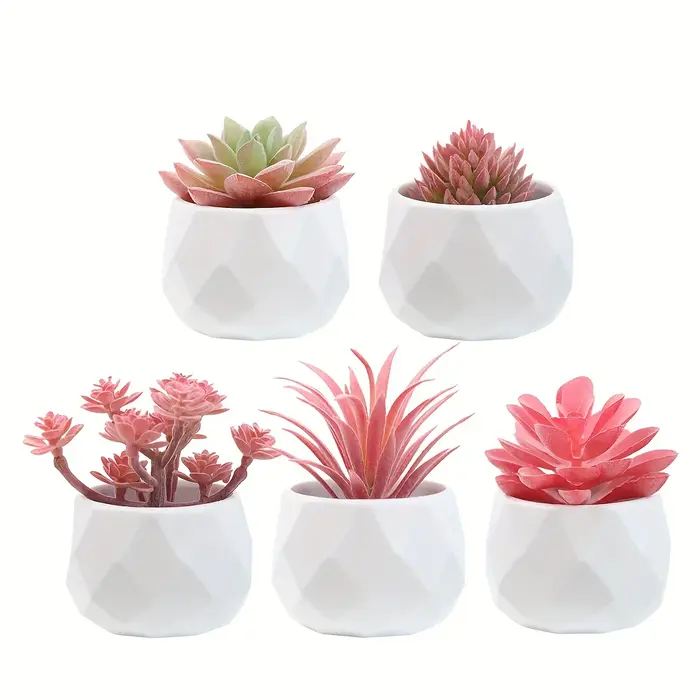 5 mini-plantes succulentes artificielles réalistes avec pot