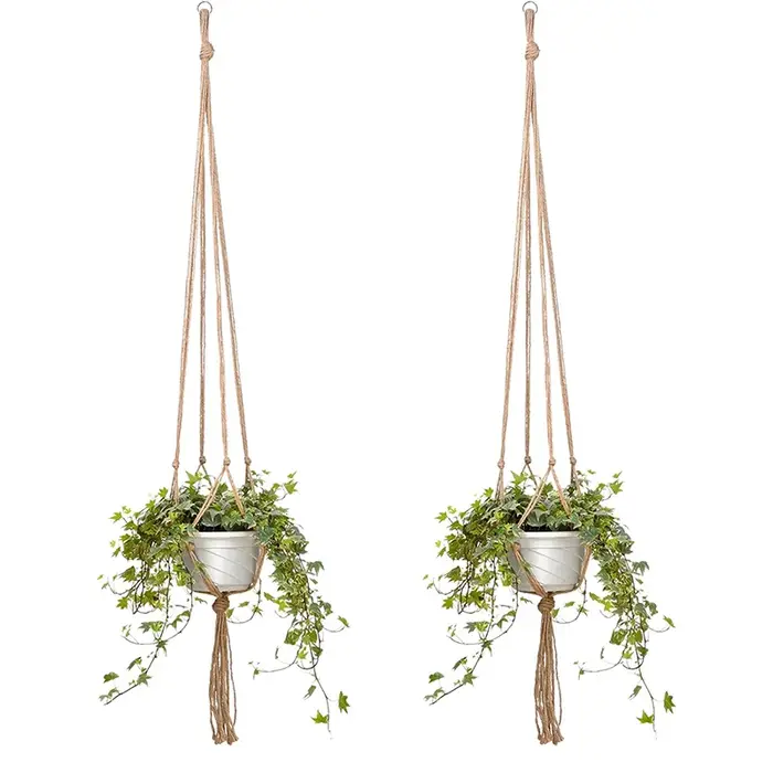 Pot de plantes suspendu