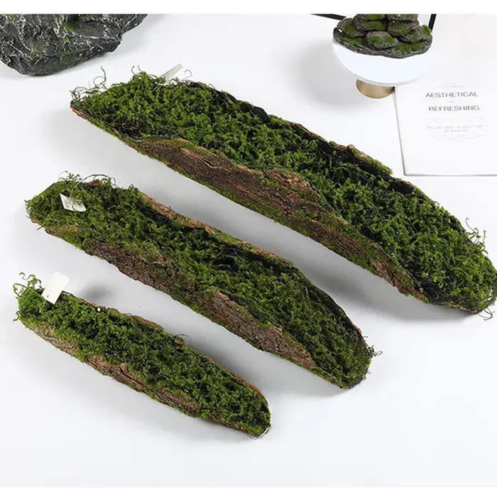 1 Imitation écorce mousse plantation blocs