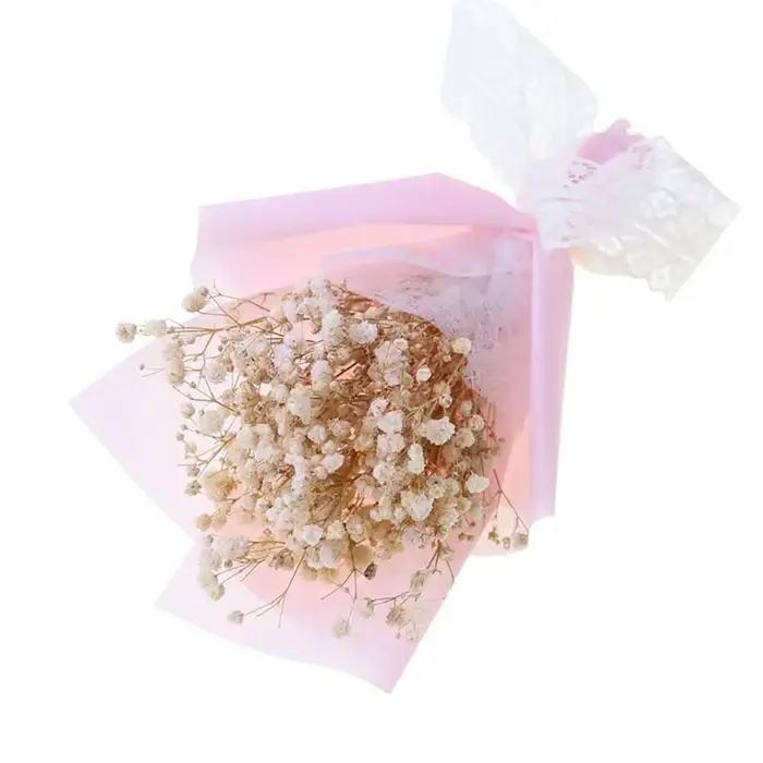 Fleurs séchées de gypsophile pour cadeaux