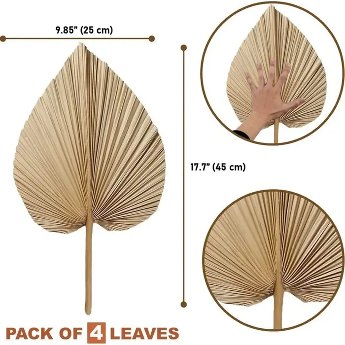 Feuilles de palmier naturelles séchées