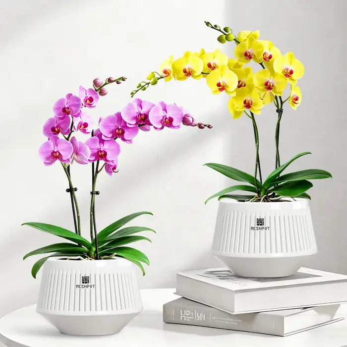 Pot à orchidées Meshpot avec trous