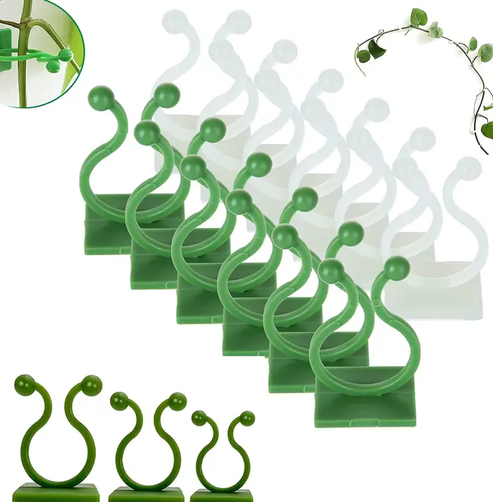 Pince murale Invisible en rotin, Clips muraux d'escalade pour plantes, fixateur de plantes auto-adhé
