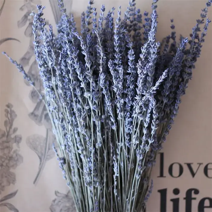 Bouquets de fleurs séchées de lavande préservée naturelle, 100 pièces, décoration de fête de mariage