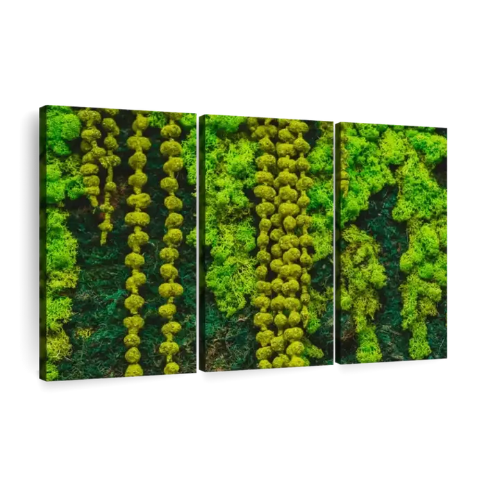 Plantes miniatures modèle mousse artificielle bricolage artisanat herbe jardin décoration ferroviaire Train paysage
