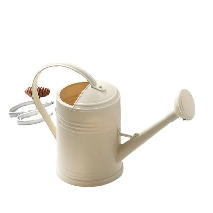 Arrosoir pratique à longue bouche, outils de jardinage pour fleurs et plantes, 2L