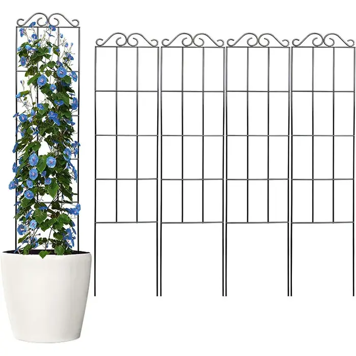 Cadre d'escalade en métal pour plantes grimpantes