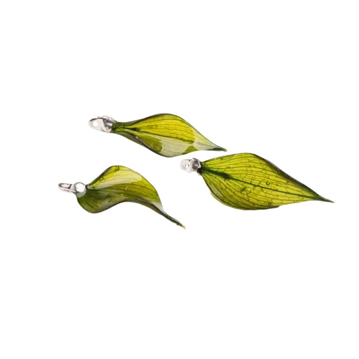 Aqumotic – plantes sèches, vraies feuilles, fleurs naturelles, œuvres d'art, accessoires de mode, 10