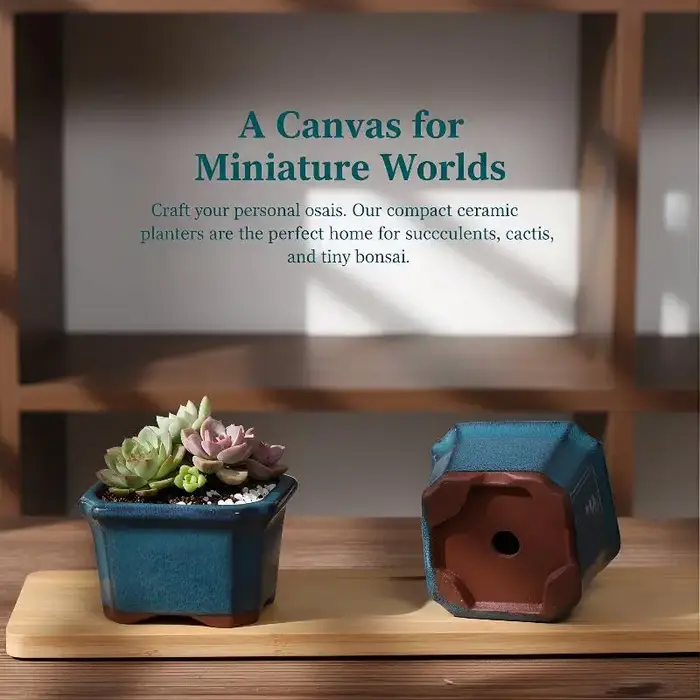 3 mini-pots de fleurs en céramique pour plantes succulentes, pots de pépinière, décoration intérieur