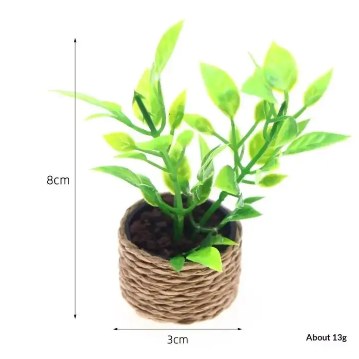Mini arbre à oranges en pot
