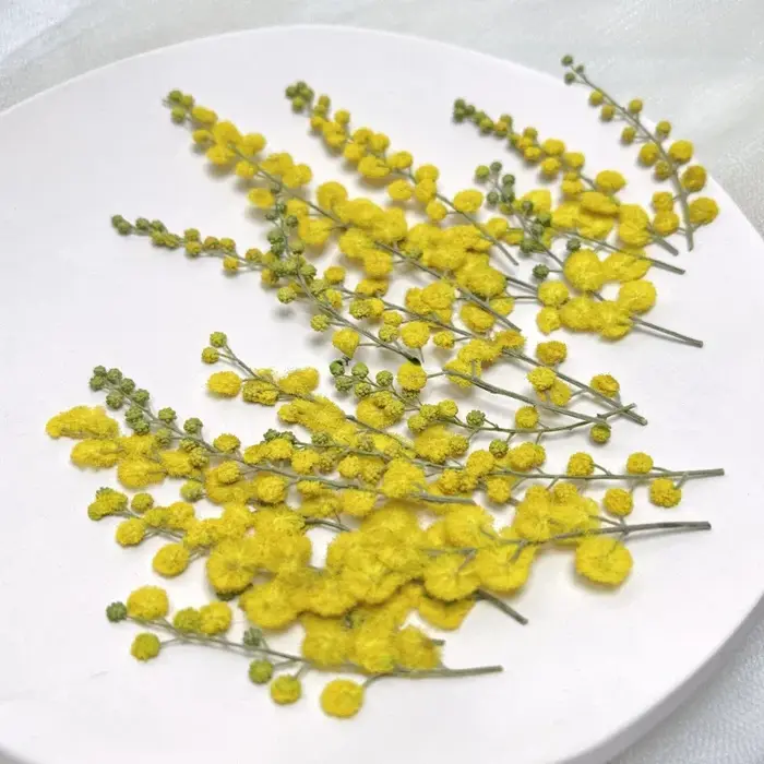 3-10cm/24pcs, Fleurs séchées en acacia gaufré