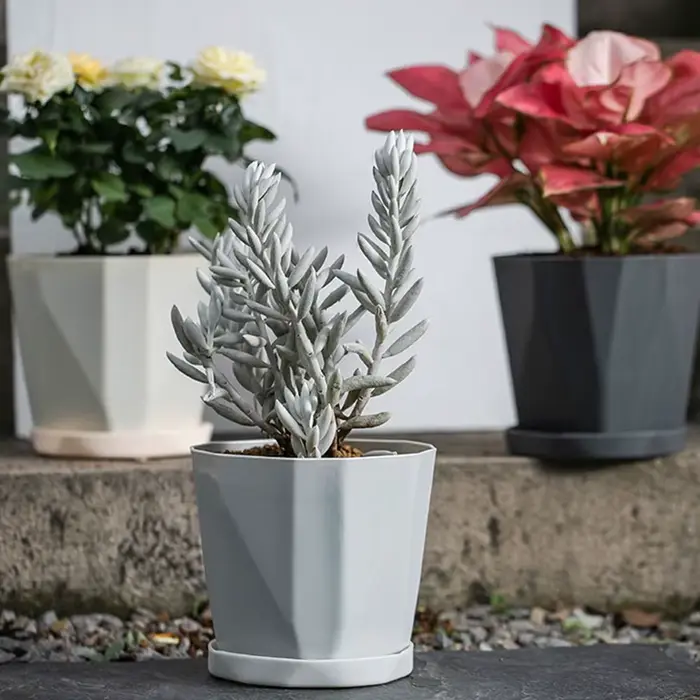 Pot de plante hydroponique avec poignée