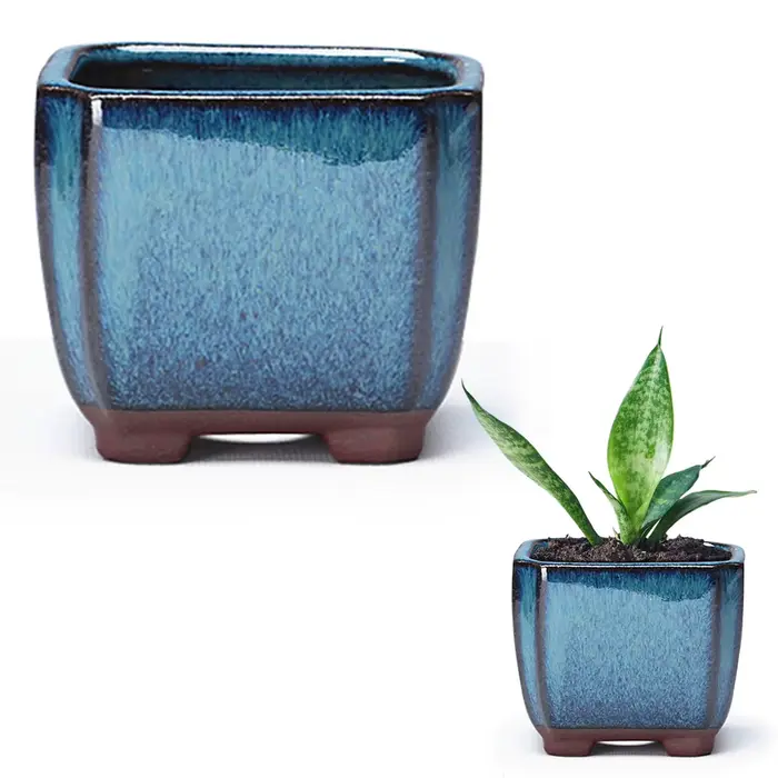 Pot de fleur succulent en céramique avec évent, plantes d'intérieur et d'extérieur faciles à utilise
