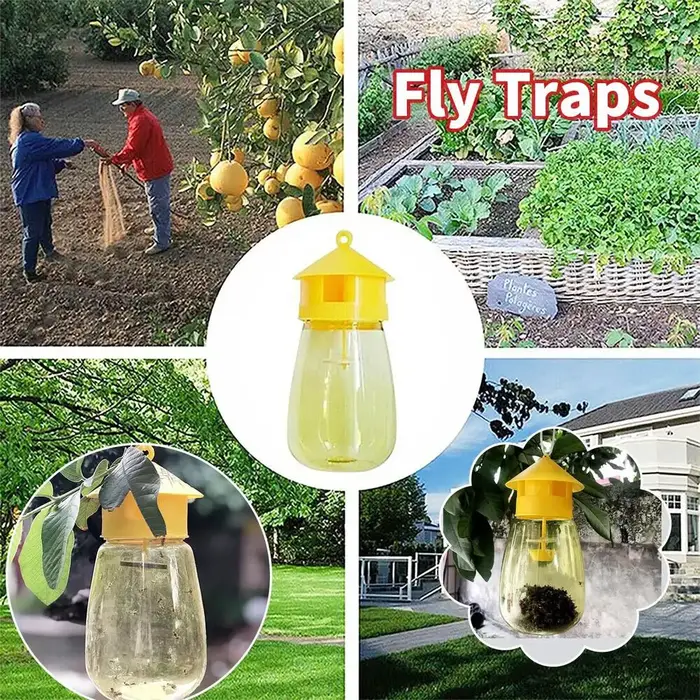 Piège à mouches des fruits jaunes