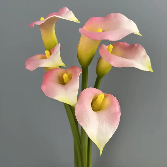 5/6 pièces de fleurs artificielles en PU au toucher réel, type Calla Lily, pour décoration de restaurant, simulation de petites fleurs artificielles violettes de type Taro de mer