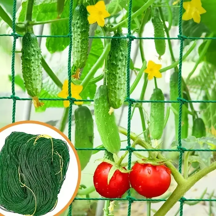 Pergolas à treillis pour plantes