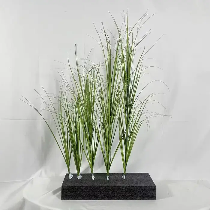 Simulation d'herbe à oignon