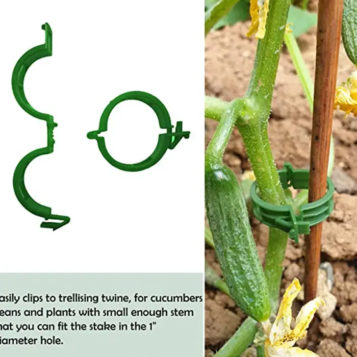 Clips de Support pour plantes