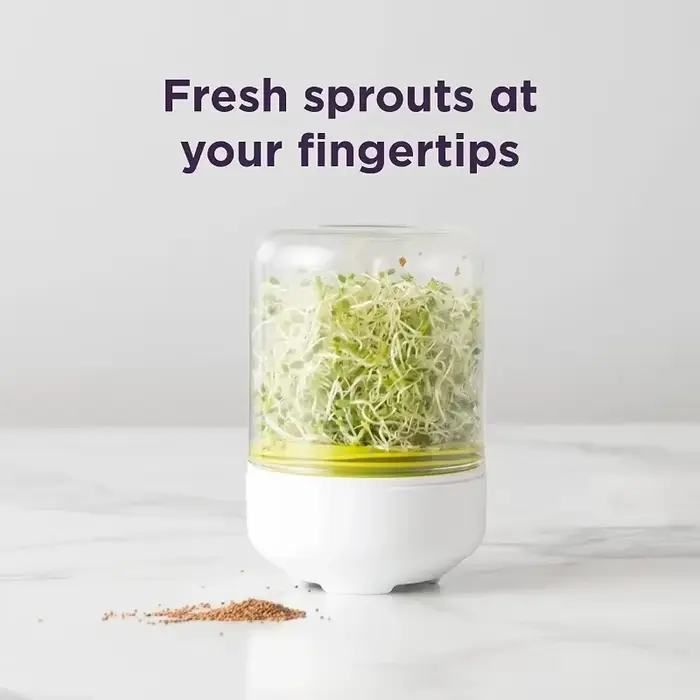 Kit de Germination de Comptoir Réutilisable pour la Cuisine Domestique – Système