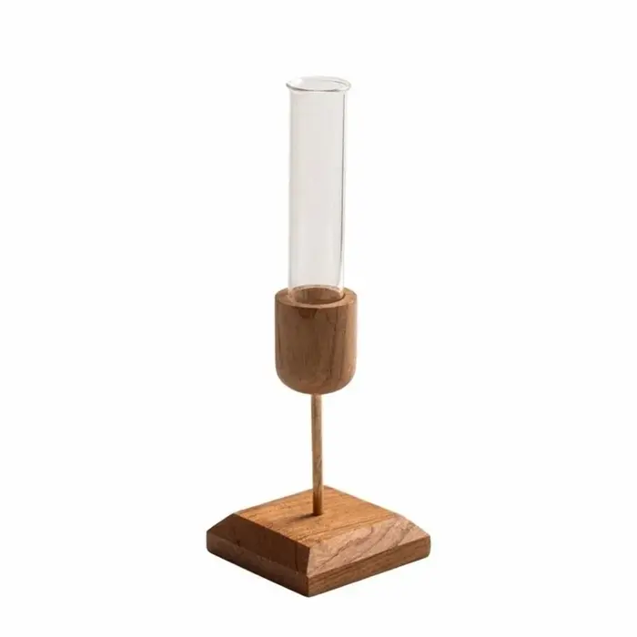 Vase à plantes hydroponiques créatif, base en bois, arrangement floral minimaliste, récipient élégan