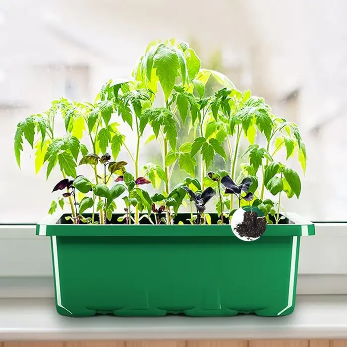 Kit de lancement de plantes de plateau