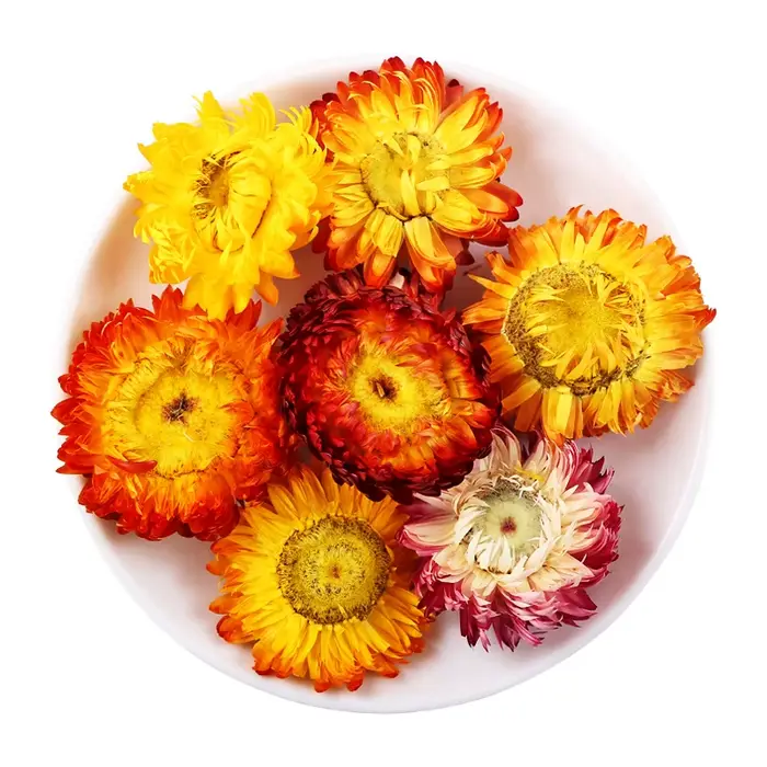 Haute qualité naturel Immortelle décor à la maison Helichrysum fleur séchée bougie Essence arôme pou