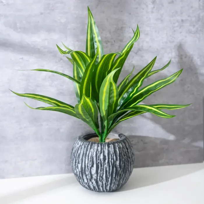 Faux combo d'agave en plastique pour la décoration intérieure et le jardin