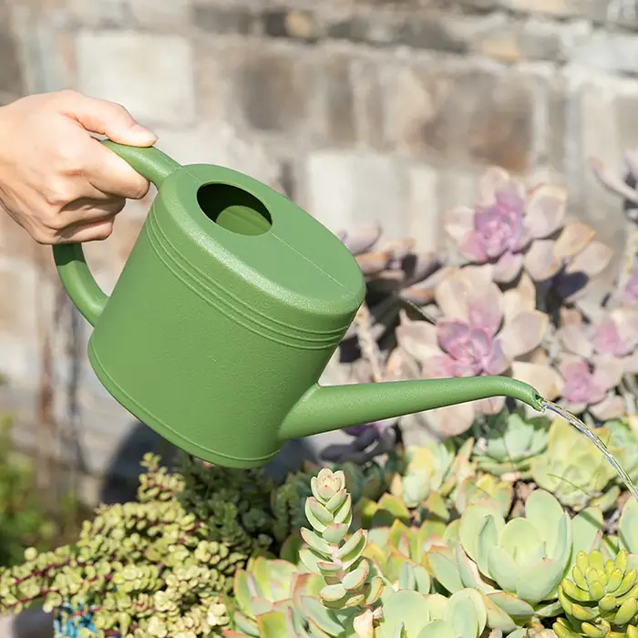 Arrosoir à bec Long 1L/2L, bouilloire d'arrosage pour jardin, balcon, Patio, plantes à fleurs, légumes, bonsaï, outil de jardinage domestique