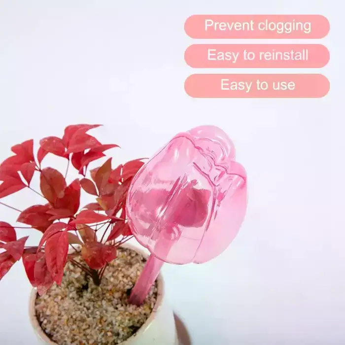 Solution élégante d'arrosage des plantes