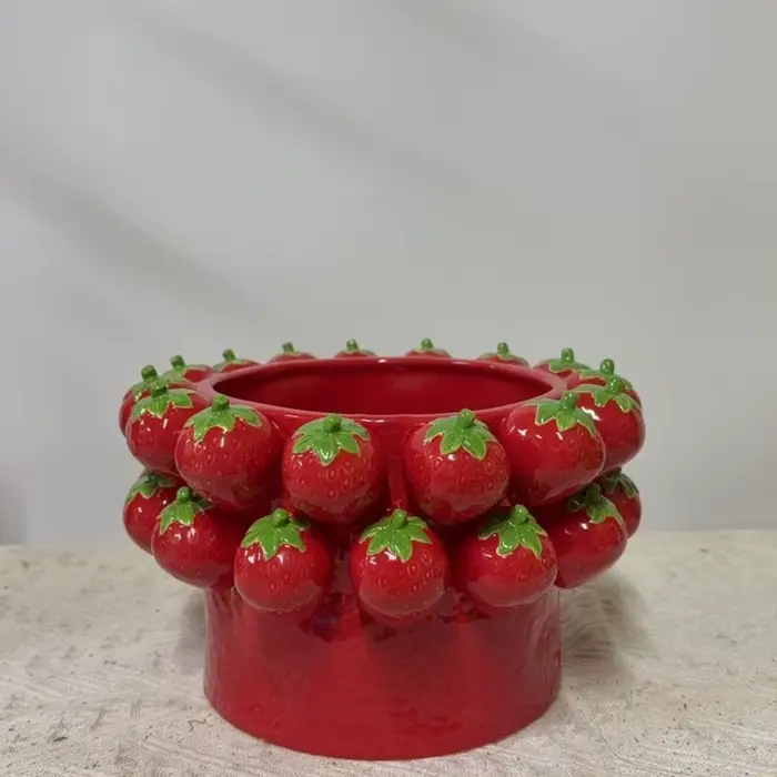 Pot de fleur en céramique