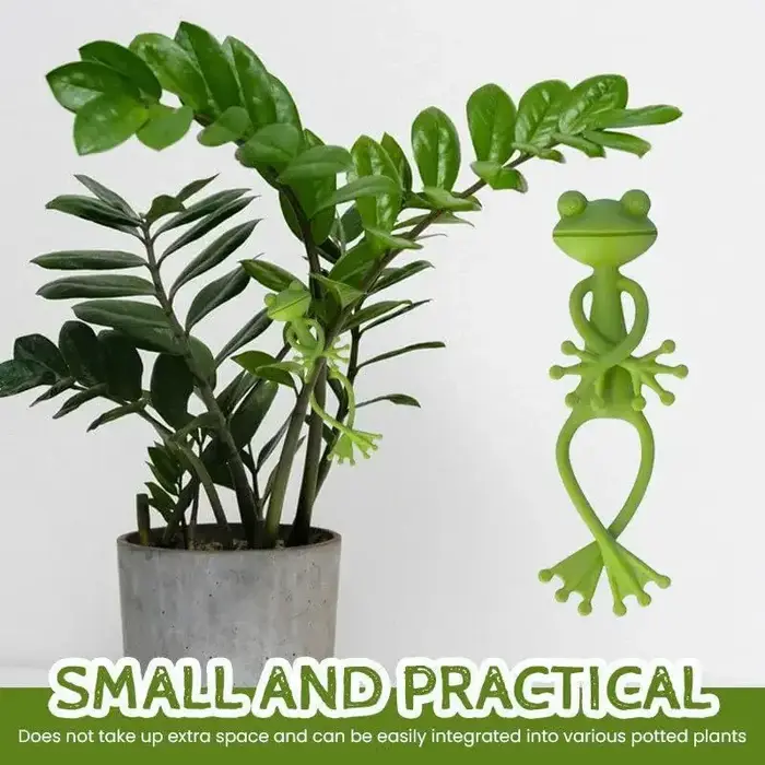 Support pour plantes grenouille