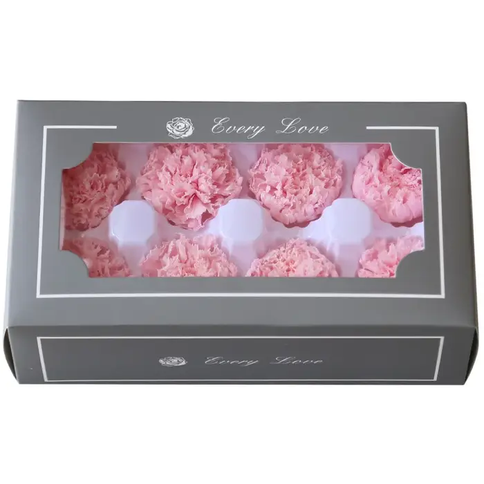 Fleur fraîche d'oeillet longue durée