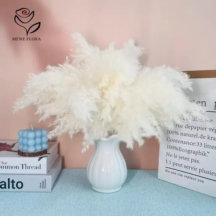 Bouquet de Pampa Blanche Naturelle vaccée
