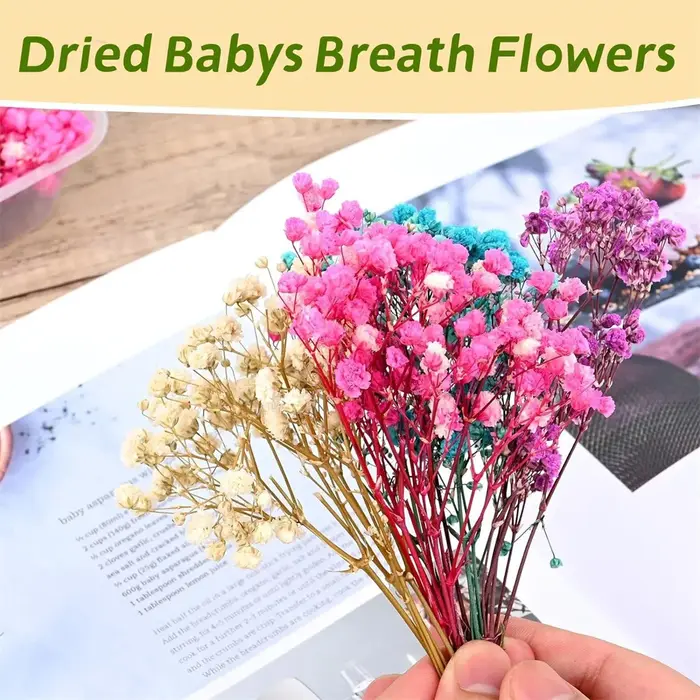 50 Pièces de Fleurs Séchées Naturelles Colorées Gypsophiles pour Arrangements Floraux DIY, Cadeaux de Mariage, Décoration de la Maison, Remplisseurs de Vases