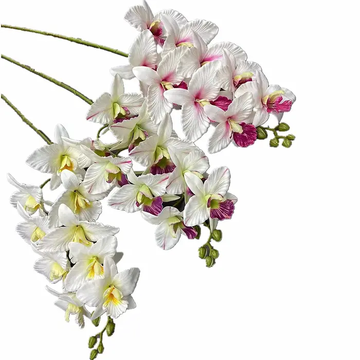 Une plante de fleur de Catland artificielle