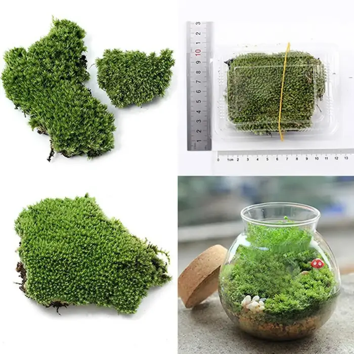 Plante verte artificielle en mousse d'ange